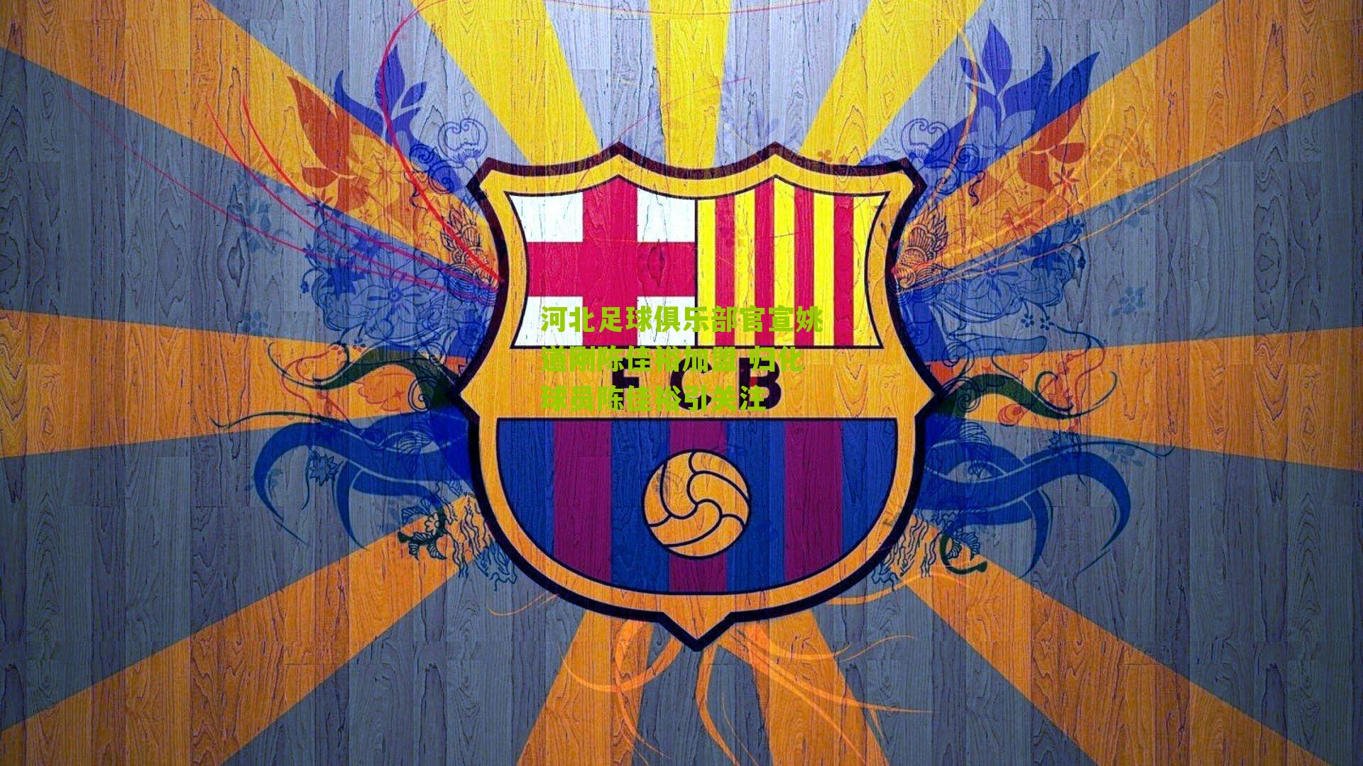 河北足球俱乐部官宣姚道刚陈佳裕加盟 归化球员陈佳裕引关注